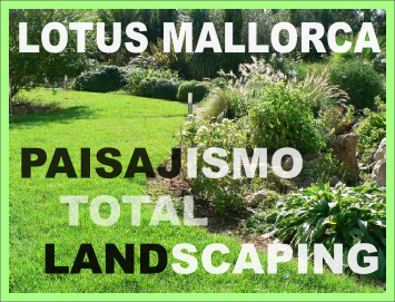 Lotus Mallorca